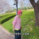 미선