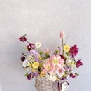 사림동188 이미지