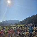 수월초등학교 병설유치원 이미지