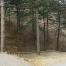 솔밭펜션캠핑장 이미지