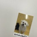 위드왈왈 이미지