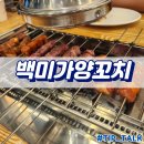 백미가양꼬치 | 병점 양꼬치 맛집 백미가양꼬치