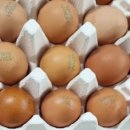 오탄농장 이미지