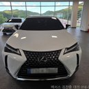 노바모터스 | 렉서스 UX300h (2wd) 화이트노바 / 블랙시트 출고 후기