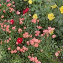 동일로163길 (21) 이미지