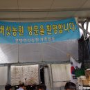 강원표고버섯농장