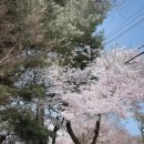 보람갈비 | 김포 장릉 주차장 앞 맛집 보람갈비 솔직 후기🥩
