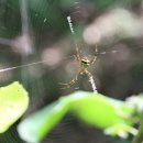 신안중학교 이미지