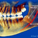 테라치과의원 이미지