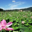 Y노래연습장 이미지