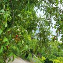 검산농장 이미지