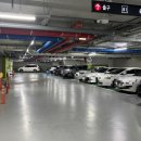 소막골 | 부산 곱창전골 현지인 찐맛집 해운대 소막골 후기