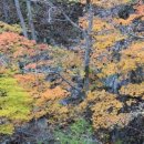 함양읍사무소 이미지