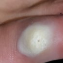 소천약국 이미지