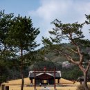 의릉 | 의릉과 경희대에서 만난 세 시대의 건축