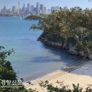 호주ㅡ시드니(Sydney)ㅡ시드니. 숨겨진 바다를 만나다