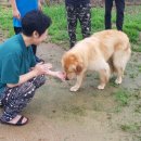 스마트농원 이미지