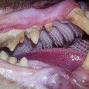 해와달동물병원 이미지