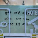 금란동물애견 이미지