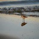 신촌금호아파트 상가 이미지