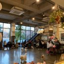 언니네 애견샵 이미지