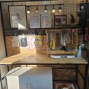 쥬니애견 이미지