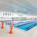 아레나 수영장 이미지