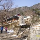 2010년 2월 겨울 여행.........계룡산,성남,서울,남설악,양양 이미지