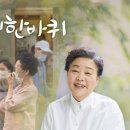 동네한바퀴 티브이데일리