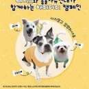 LF 연합뉴스