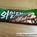 와일드바디 이미지
