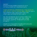 금호 행정사 사무소 이미지