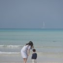 "푸른 제주 바다, 봄의 시작과 함께한 가족여행"