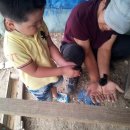 형기농장 이미지