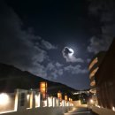 세영모텔 | 푸켓 메타디 컨셉 리조트 평점 1점 후회 내돈내산 후기 25년 11월