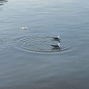 오늘은봄날 이미지