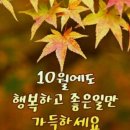 🌻들꽃이 예쁜 계절 가을 🌻 이미지