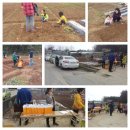 버들농장 이미지