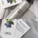 진희란 헤어