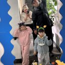 바다와노을 | 무드에서 보는 노을, 완벽 조합. 드르니항과 백사장항을 걸으며 바다와 노을을 즐기다~!! 리얼 방문 후기