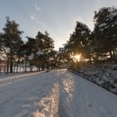 능산리고분군전시관 이미지