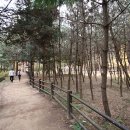 MK환경 매일경제