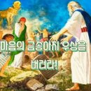 금송아지 이미지