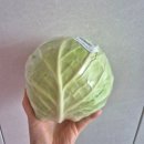 달코미 - 서구 관저중로 86-1 | 달코미양배추 솔직 후기 아삭하고 달콤한 샐러드재료로 추천