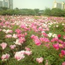한강시민공원(자연학습장) Daum카페