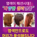 천연헤어염색전문샵