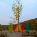 황학산수목원 이미지