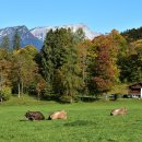 병은농장 이미지