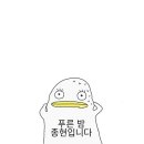 배고팡 이미지