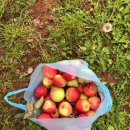 재승농장 이미지